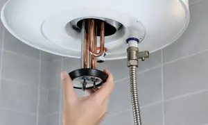 Mano retirando resistencia de termo eléctrico. ¿Cuánto tarda en vaciarse un termo eléctrico de 80 litros?