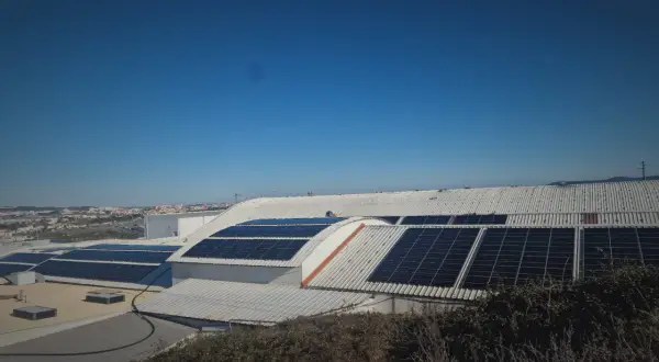 Instalación de paneles solares en tejados industriales. ¿Habrá una multa por poner paneles solares?